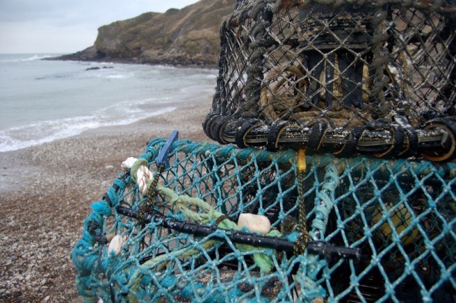 lulworth_cove_fishing_traps_february16