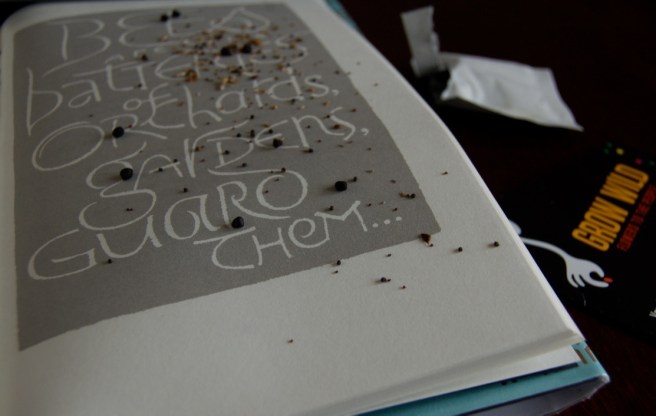 thumb_thumb_DSC_0325_1024_1024