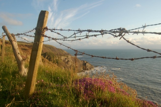 north_devon_hartland_quay
