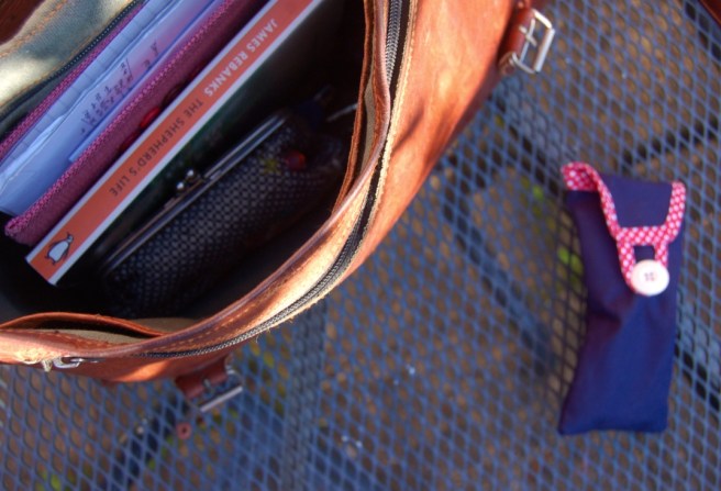 sunglasses_case_satchel