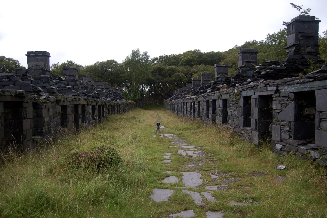 north_wales_quarry_houses