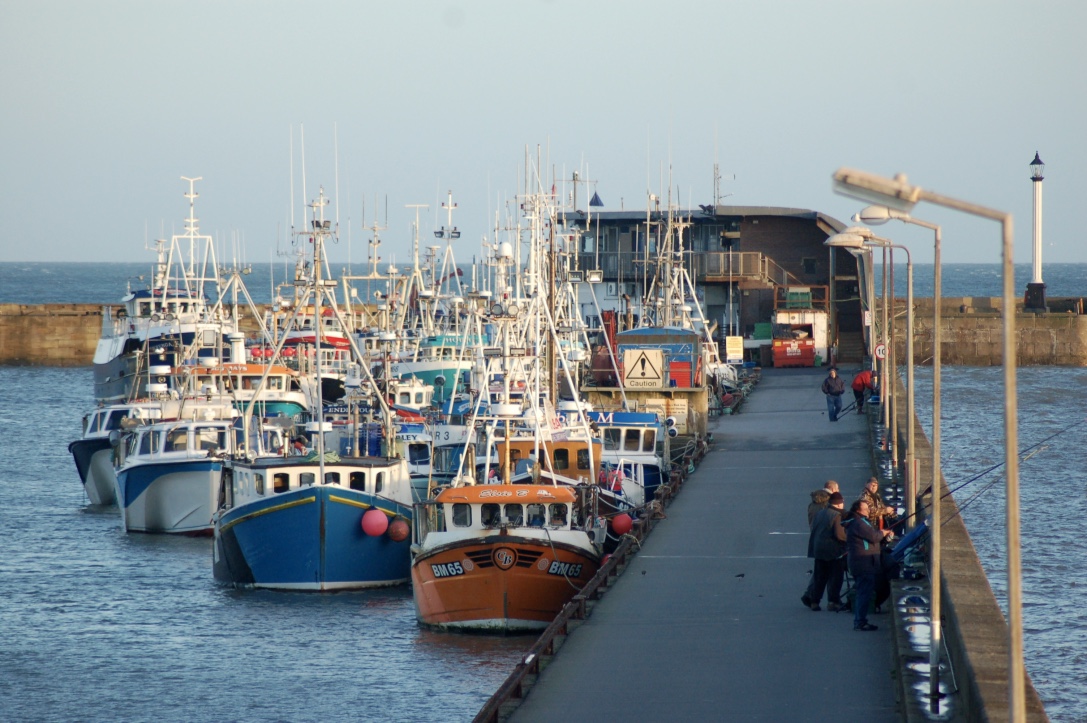 bridlington_harbour_fishing_boats
