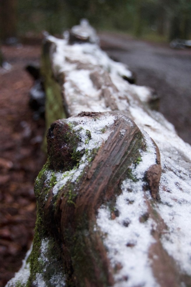 leith_hill_snow_log