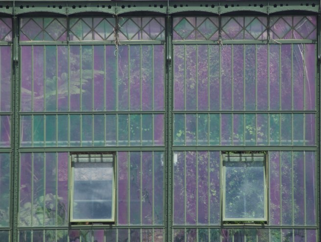 jardin_des_plantes_greenhouse
