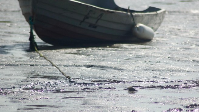 boat_oare_marshes_kent_