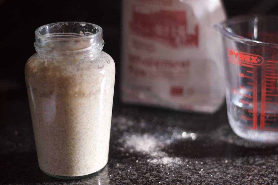 rye_bread_starter_1