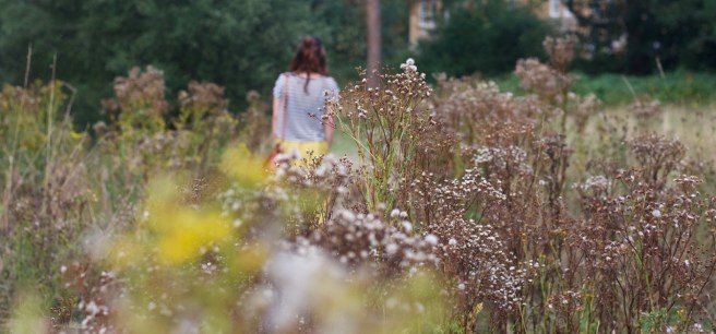 amberoot_yellow_skirt_field