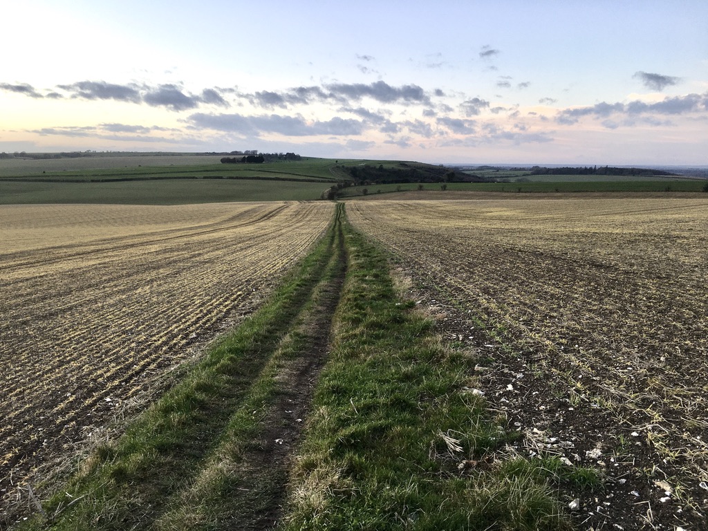 Photograph of path through fields and a hill in the distance at sunset